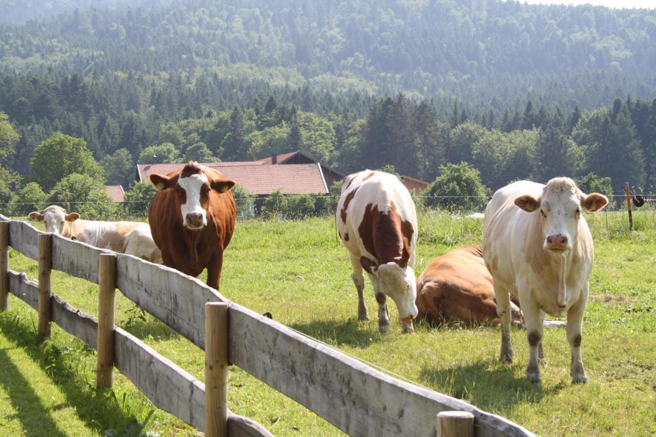 Gaestehaus Herbstbauernhof Siegsdorf Ngoại thất bức ảnh